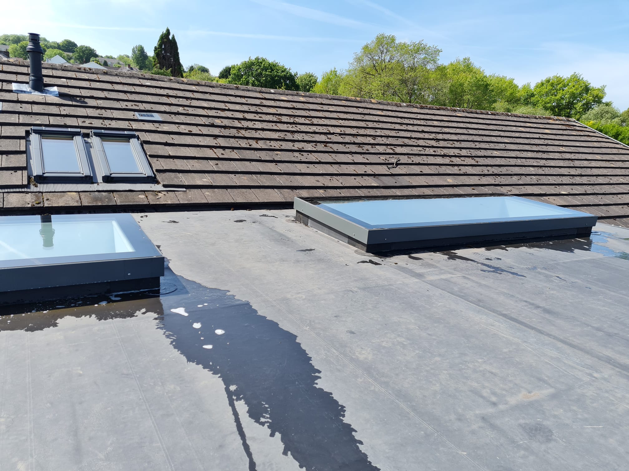 Freshly cleaned rooflights on a flat roof with water beading after the wash